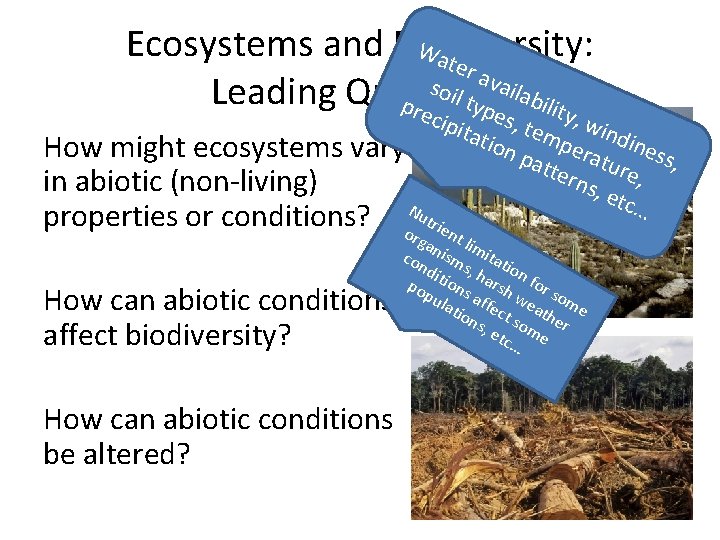 Wa Ecosystems and Biodiversity: ter ava s il o Leading Questions pre il type