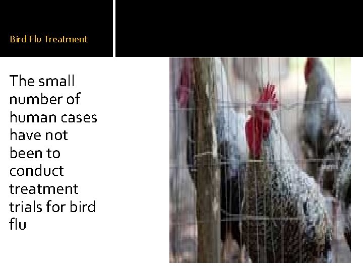 Bird Flu Treatment The small number of human cases have not been to conduct