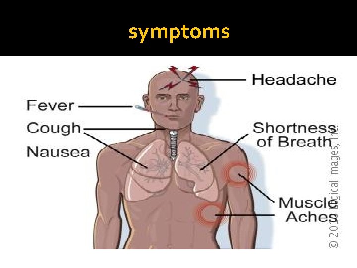 symptoms 