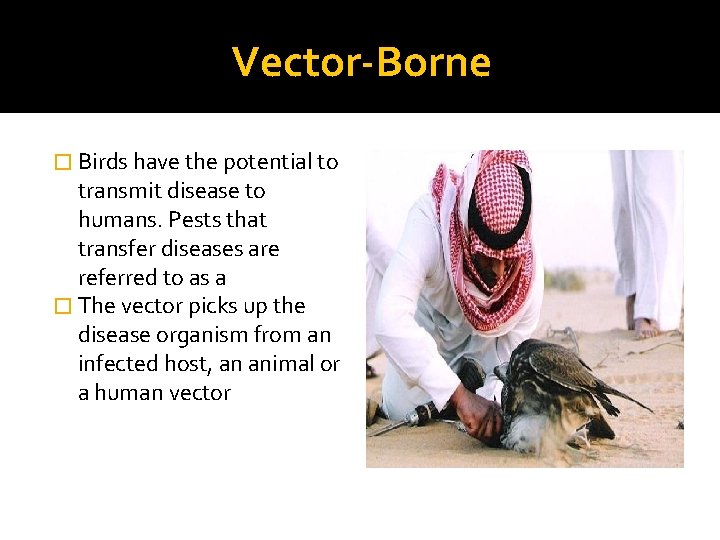 Vector-Borne � Birds have the potential to transmit disease to humans. Pests that transfer