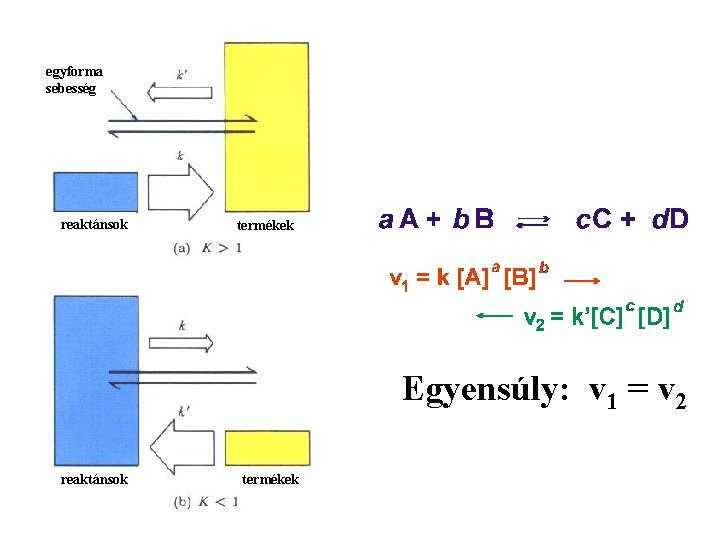 egyforma sebesség reaktánsok termékek Egyensúly: v 1 = v 2 reaktánsok termékek 