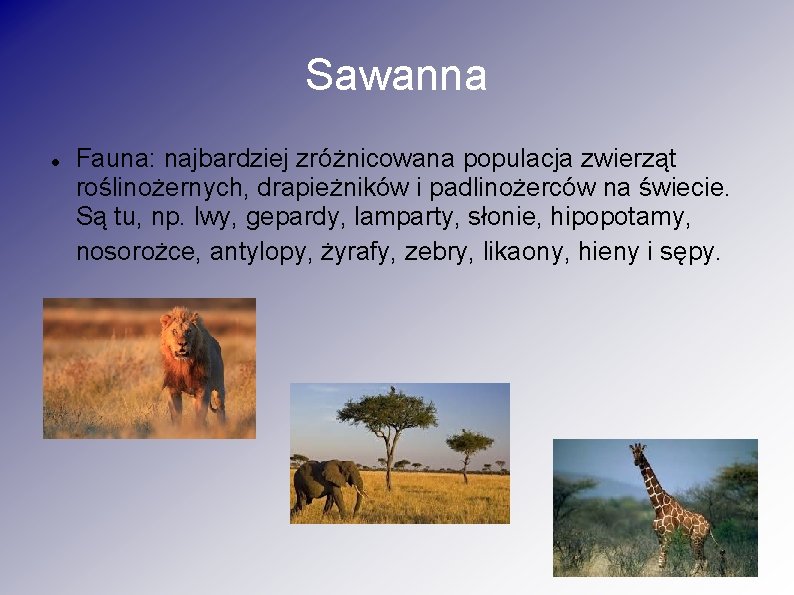 Sawanna Fauna: najbardziej zróżnicowana populacja zwierząt roślinożernych, drapieżników i padlinożerców na świecie. Są tu,