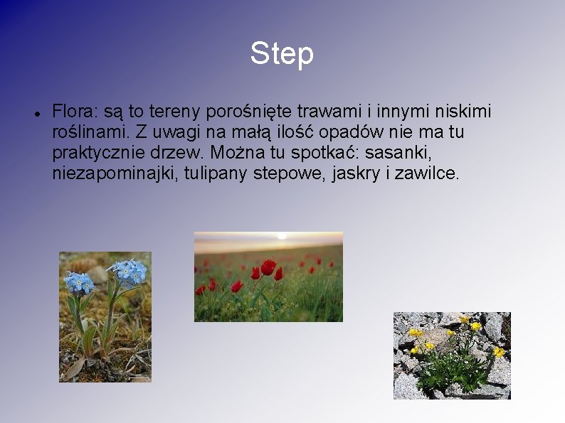 Step Flora: są to tereny porośnięte trawami i innymi niskimi roślinami. Z uwagi na