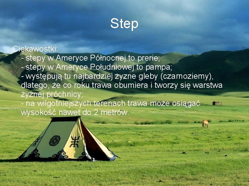 Step Ciekawostki: - stepy w Ameryce Północnej to prerie; - stepy w Ameryce Południowej