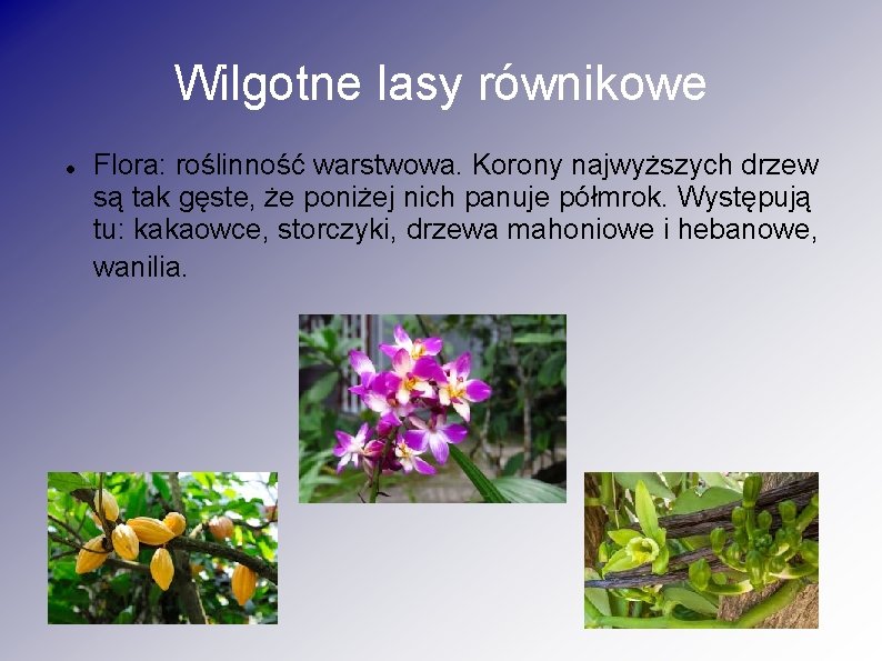 Wilgotne lasy równikowe Flora: roślinność warstwowa. Korony najwyższych drzew są tak gęste, że poniżej