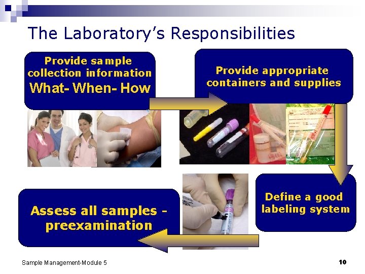 The Laboratory’s Responsibilities Provide sample collection information What- When- How Assess all samples preexamination