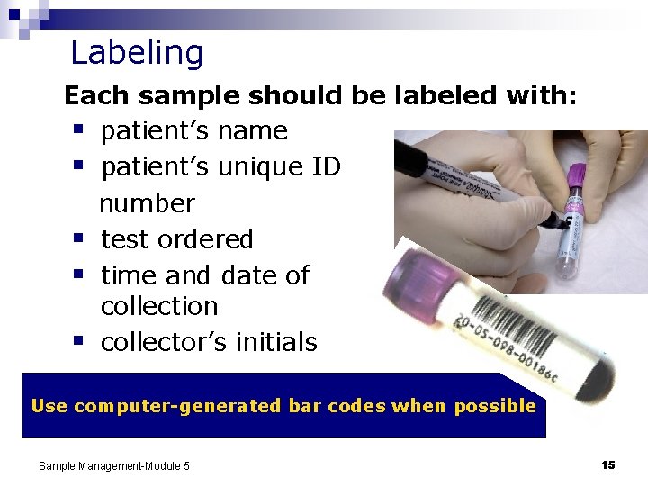 Labeling Each sample should be labeled with: § patient’s name § patient’s unique ID