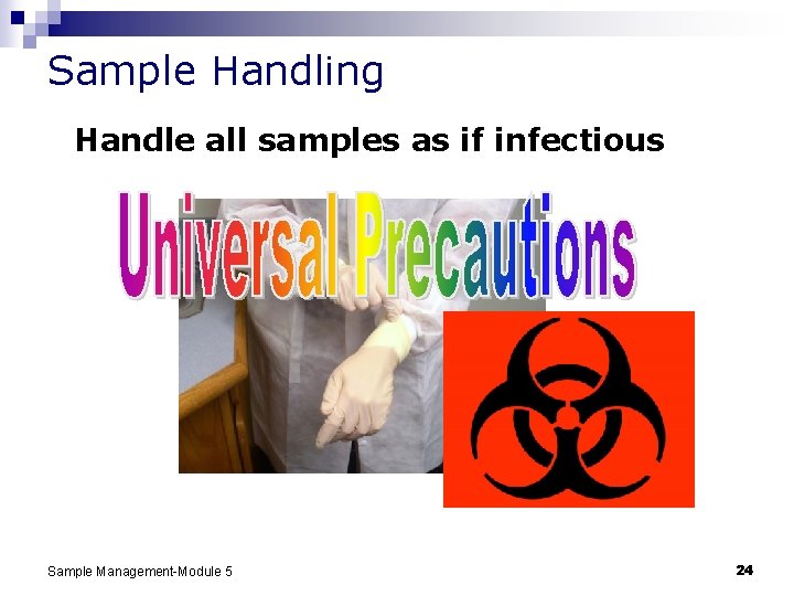 Sample Handling Handle all samples as if infectious Sample Management-Module 5 24 