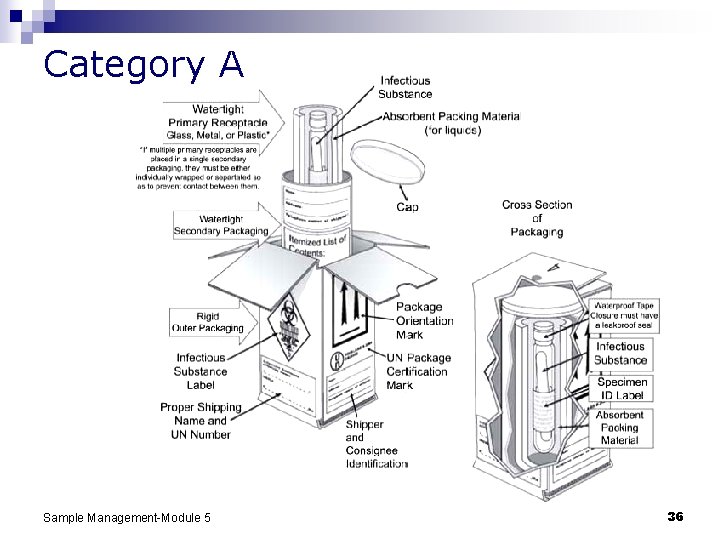 Category A Sample Management-Module 5 36 