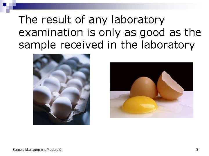The result of any laboratory examination is only as good as the sample received