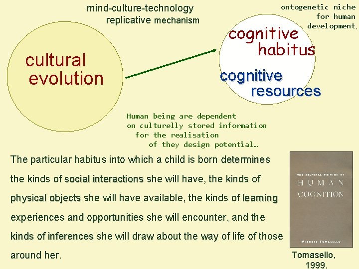 mind-culture-technology replicative mechanism cultural evolution ontogenetic niche for human development, cognitive habitus cognitive resources