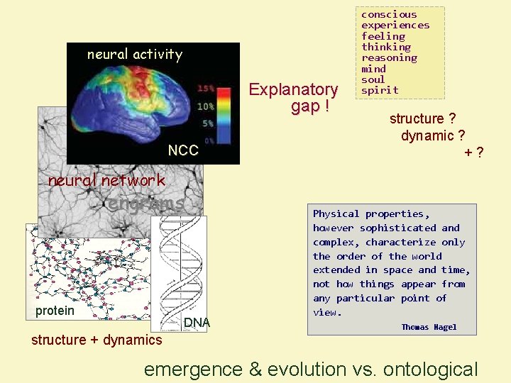 neural activity Explanatory gap ! NCC conscious experiences feeling thinking reasoning mind soul spirit