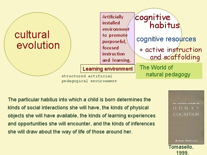 cultural evolution Artificially installed environment to promote purposeful, focused instruction and learning. Learning environment