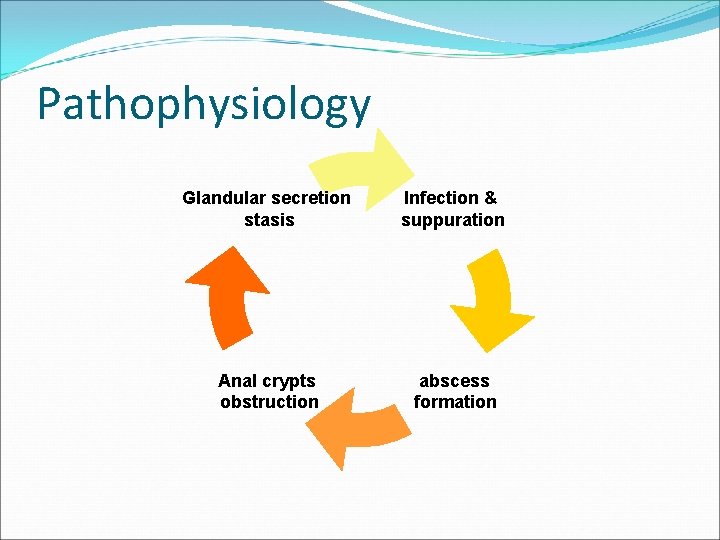 Pathophysiology Glandular secretion stasis Infection & suppuration Anal crypts obstruction abscess formation 