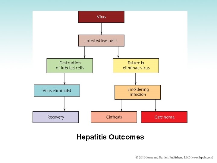 Hepatitis Outcomes 