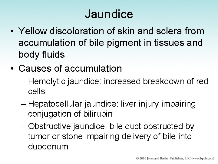 Jaundice • Yellow discoloration of skin and sclera from accumulation of bile pigment in