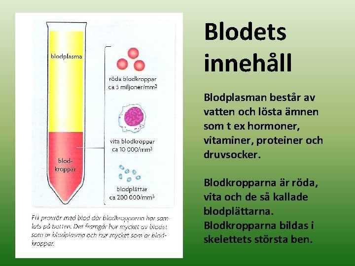 Blodets innehåll Blodplasman består av vatten och lösta ämnen som t ex hormoner, vitaminer,