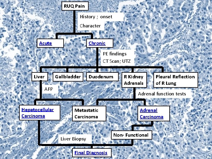 RUQ Pain History ; onset Character Acute Chronic PE findings CT Scan; UTZ Liver