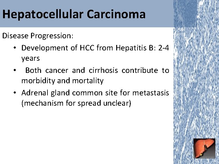 Hepatocellular Carcinoma Disease Progression: • Development of HCC from Hepatitis B: 2 -4 years