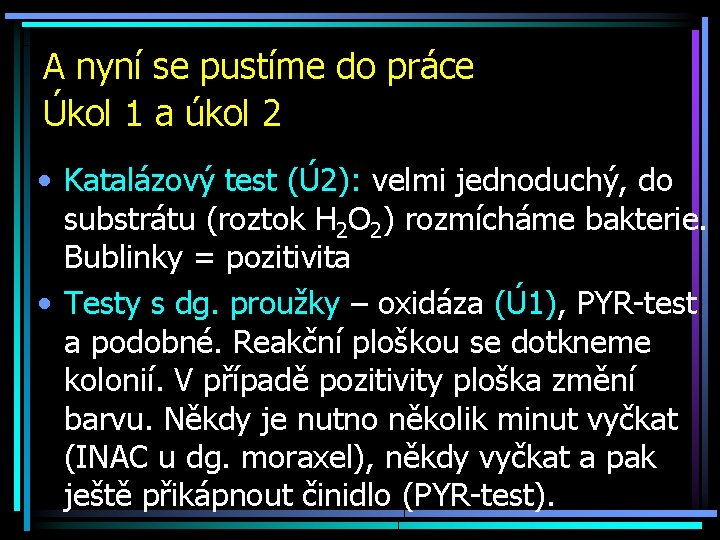 A nyní se pustíme do práce Úkol 1 a úkol 2 • Katalázový test