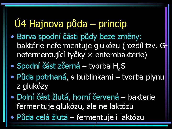 Ú 4 Hajnova půda – princip • Barva spodní části půdy beze změny: baktérie