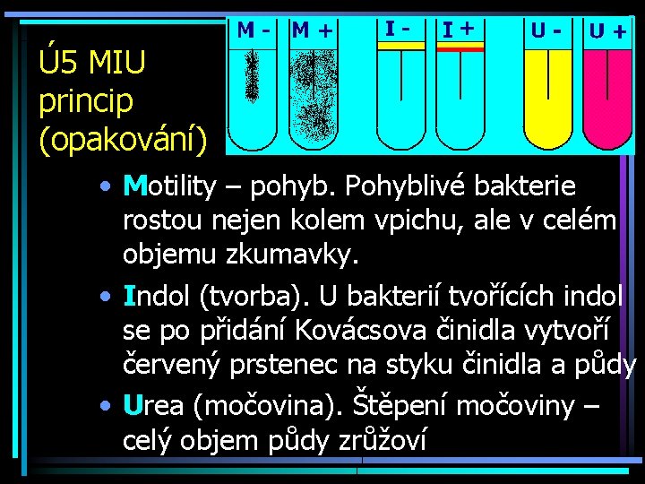 Ú 5 MIU princip (opakování) • Motility – pohyb. Pohyblivé bakterie rostou nejen kolem