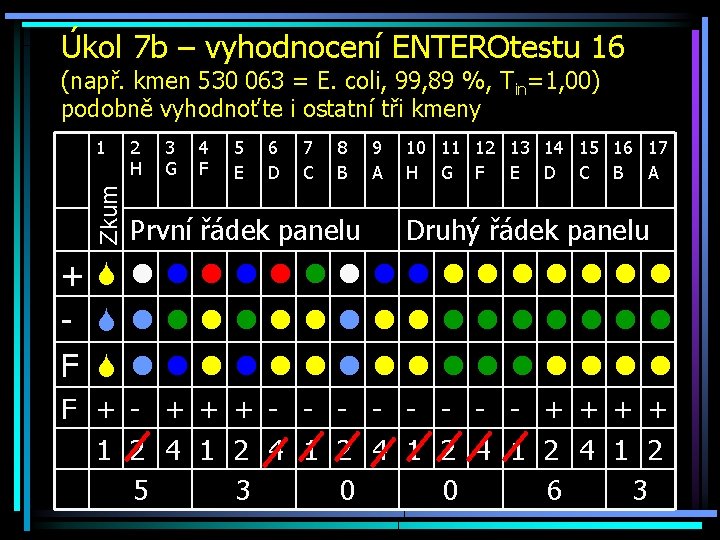 Úkol 7 b – vyhodnocení ENTEROtestu 16 (např. kmen 530 063 = E. coli,