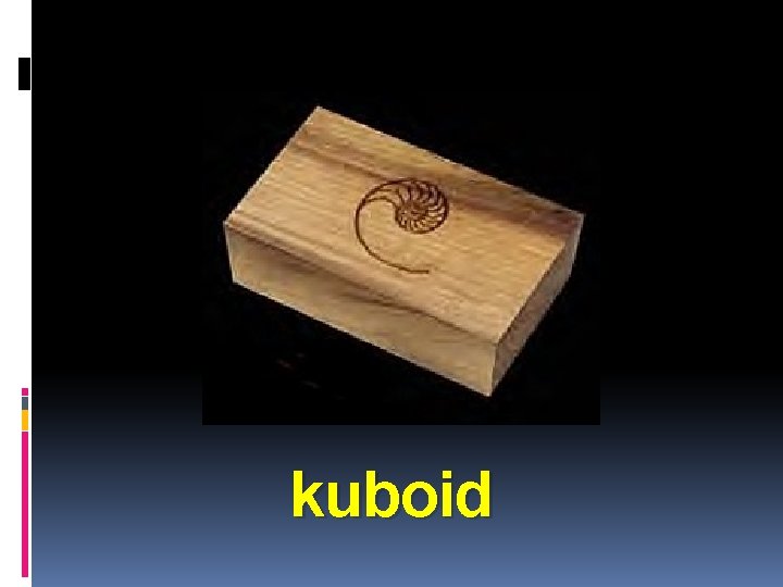 kuboid 