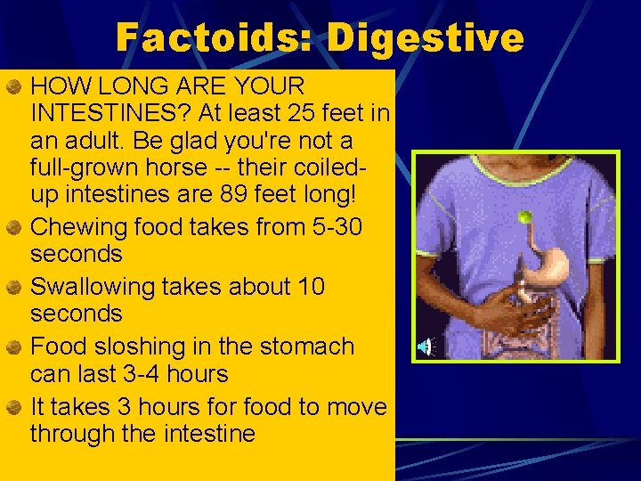 Factoids: Digestive HOW LONG ARE YOUR INTESTINES? At least 25 feet in an adult. Factoids: Digestive HOW LONG ARE YOUR INTESTINES? At least 25 feet in an adult.