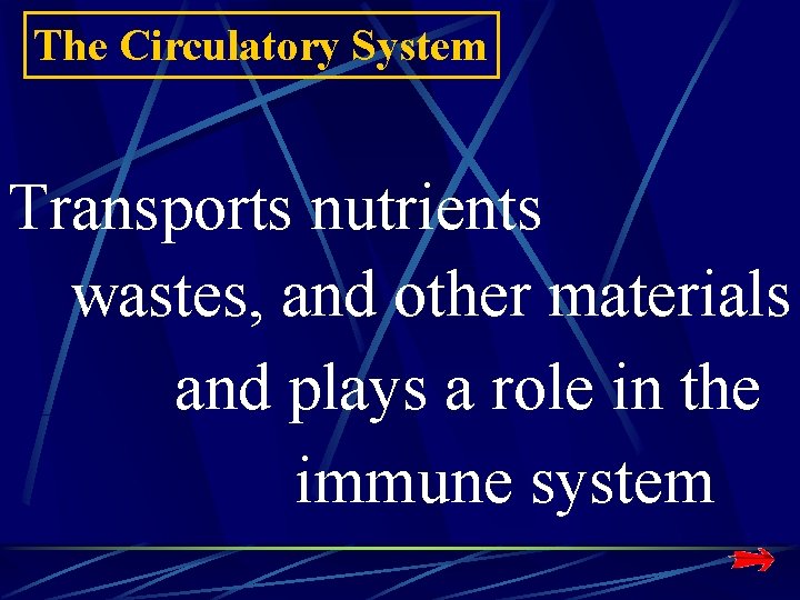 The Circulatory System Transports nutrients wastes, and other materials and plays a role in The Circulatory System Transports nutrients wastes, and other materials and plays a role in