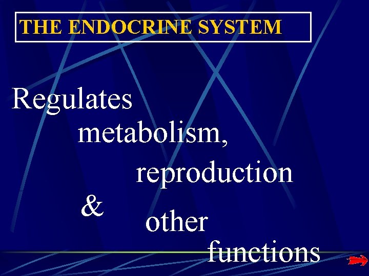 THE ENDOCRINE SYSTEM Regulates metabolism, reproduction & other functions THE ENDOCRINE SYSTEM Regulates metabolism, reproduction & other functions