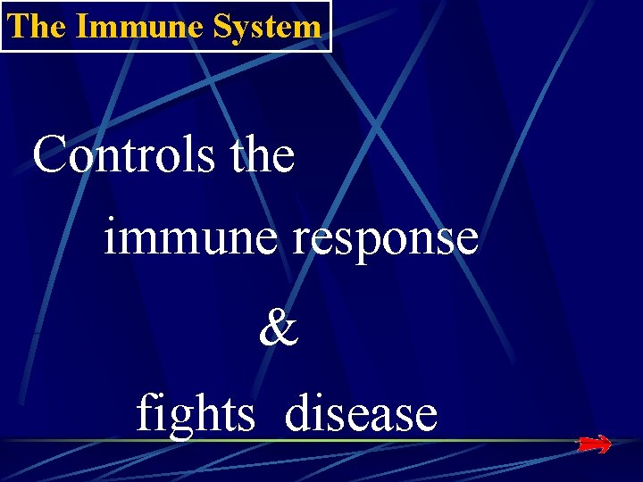 The Immune System Controls the immune response & fights disease The Immune System Controls the immune response & fights disease