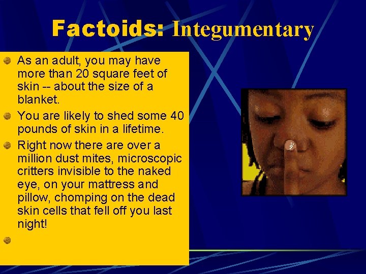 Factoids: Integumentary As an adult, you may have more than 20 square feet of Factoids: Integumentary As an adult, you may have more than 20 square feet of