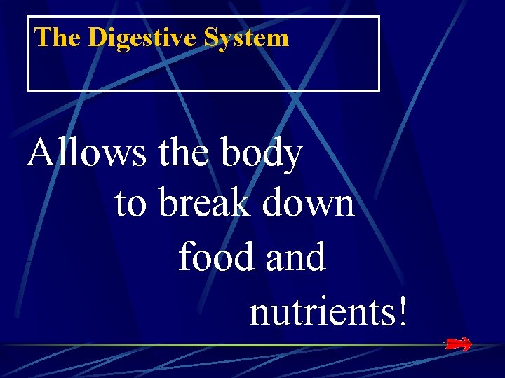 The Digestive System Allows the body to break down food and nutrients! The Digestive System Allows the body to break down food and nutrients!