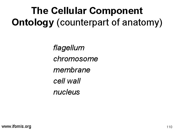 The Cellular Component Ontology (counterpart of anatomy) flagellum chromosome membrane cell wall nucleus www.