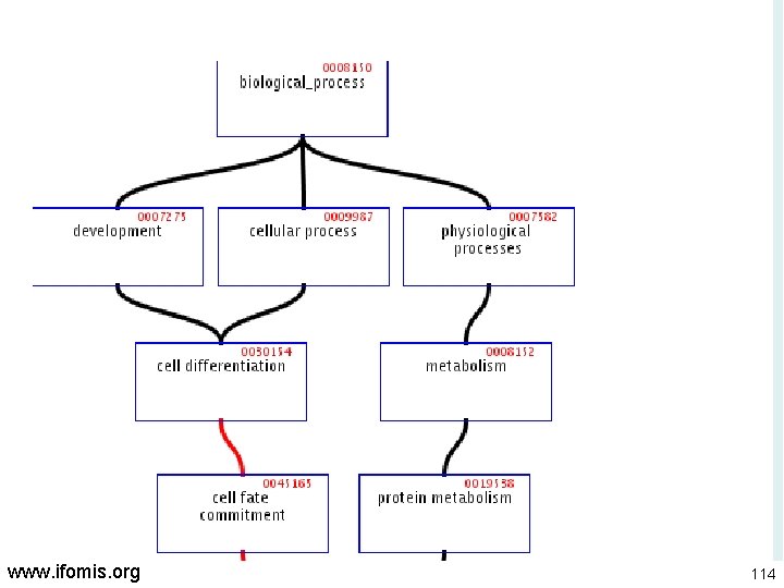 www. ifomis. org 114 