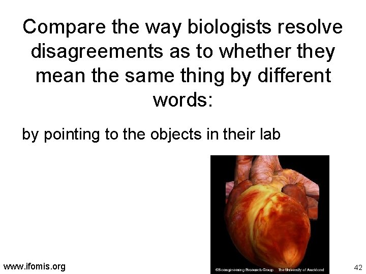 Compare the way biologists resolve disagreements as to whether they mean the same thing