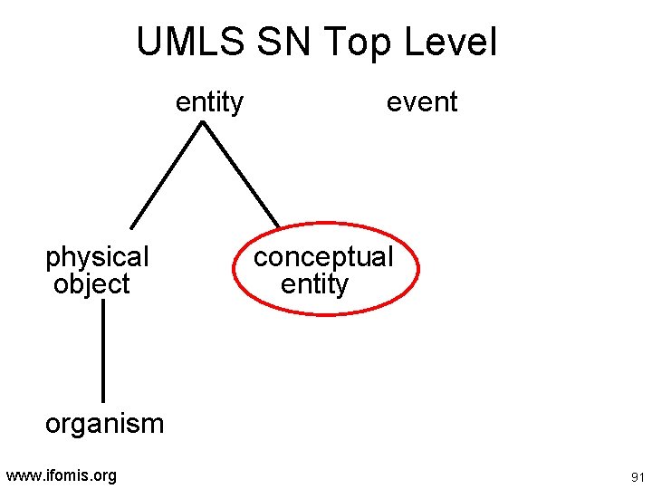 UMLS SN Top Level entity physical object event conceptual entity organism www. ifomis. org