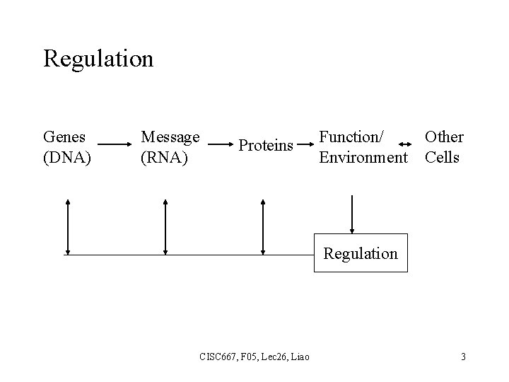 Regulation Genes (DNA) Message (RNA) Proteins Function/ Environment Other Cells Regulation CISC 667, F