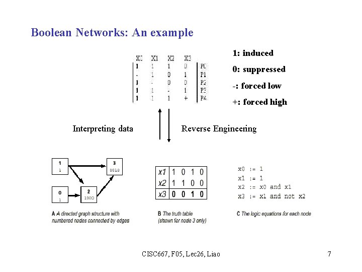 Boolean Networks: An example 1: induced 0: suppressed -: forced low +: forced high