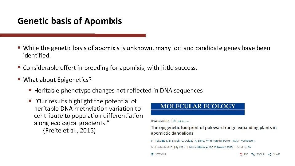 Genetic basis of Apomixis § While the genetic basis of apomixis is unknown, many