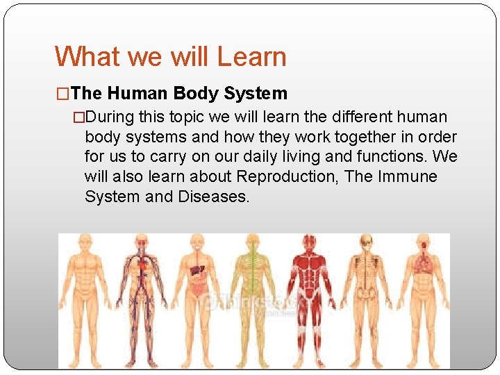 What we will Learn �The Human Body System �During this topic we will learn