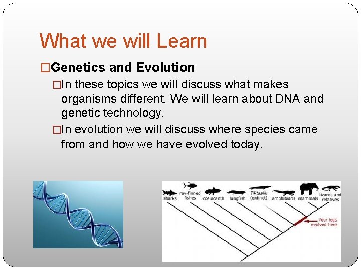 What we will Learn �Genetics and Evolution �In these topics we will discuss what