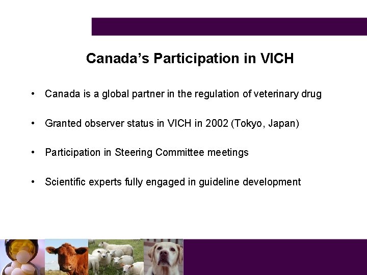 Canada’s Participation in VICH • Canada is a global partner in the regulation of