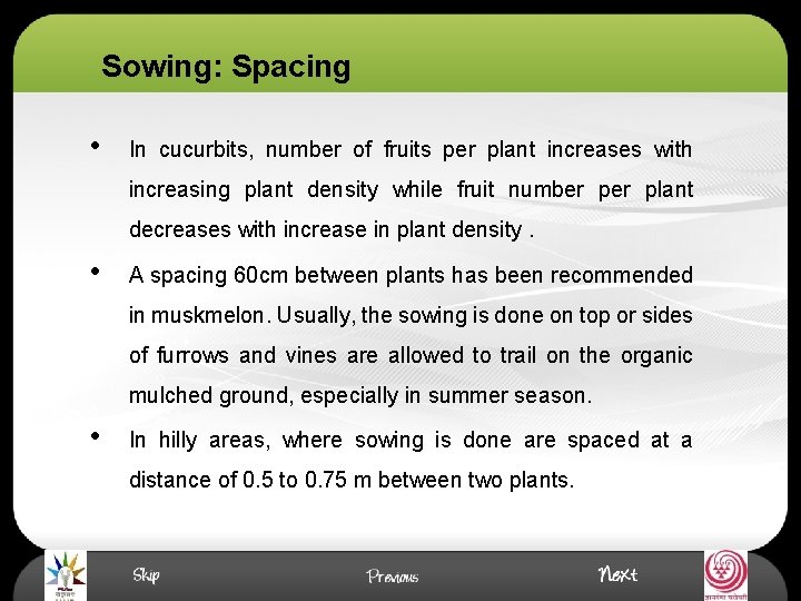 Sowing: Spacing • In cucurbits, number of fruits per plant increases with increasing plant