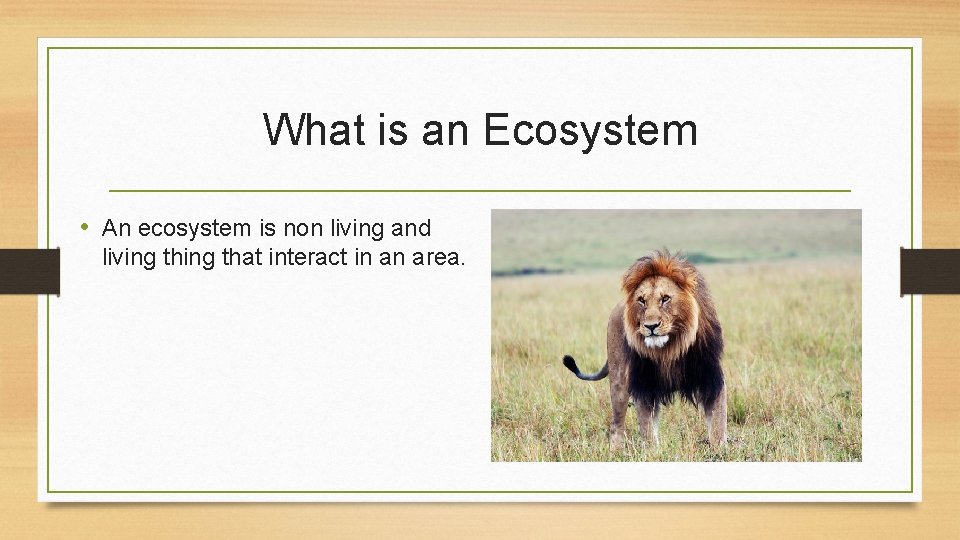 What is an Ecosystem • An ecosystem is non living and living that interact