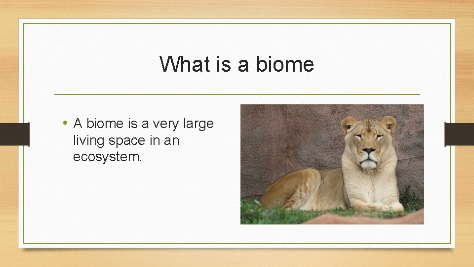 What is a biome • A biome is a very large living space in