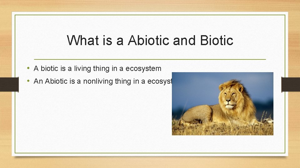What is a Abiotic and Biotic • A biotic is a living thing in