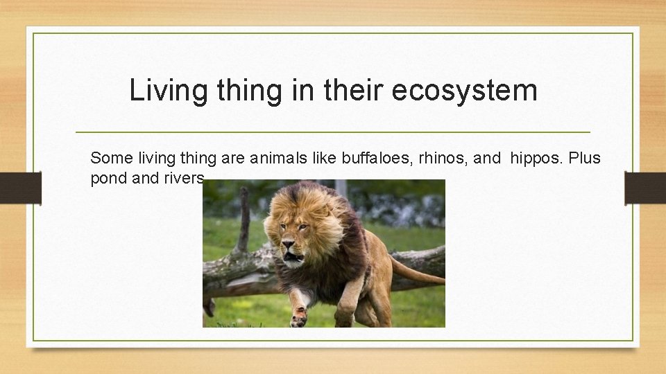 Living thing in their ecosystem Some living thing are animals like buffaloes, rhinos, and
