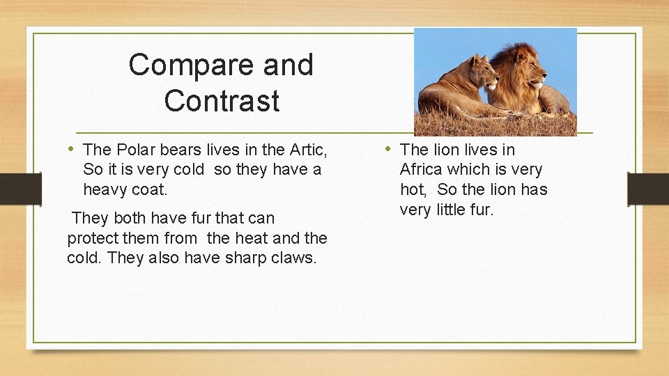 Compare and Contrast • The Polar bears lives in the Artic, So it is